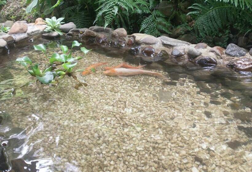 ペンション Sitio Esperanca