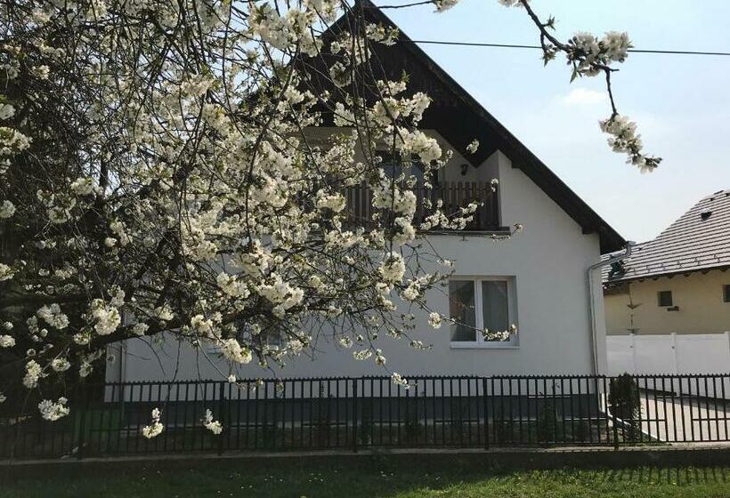 بنسيون Szép Napot Vendégház