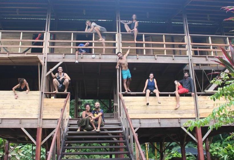 펜션 The Pelican House Hostel