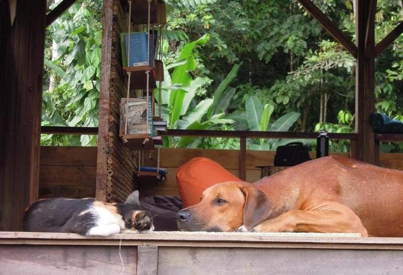 펜션 The Pelican House Hostel