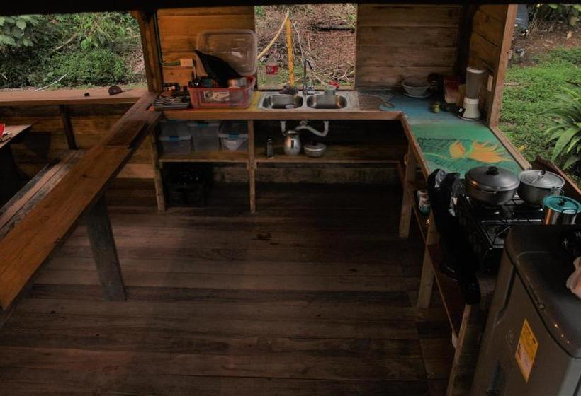 펜션 The Pelican House Hostel