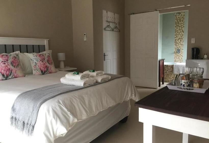 بنسيون The Vine