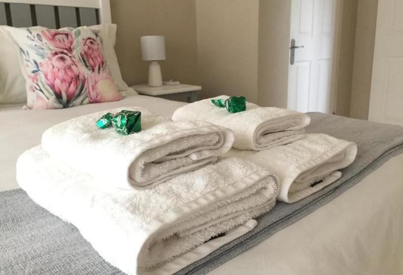 بنسيون The Vine