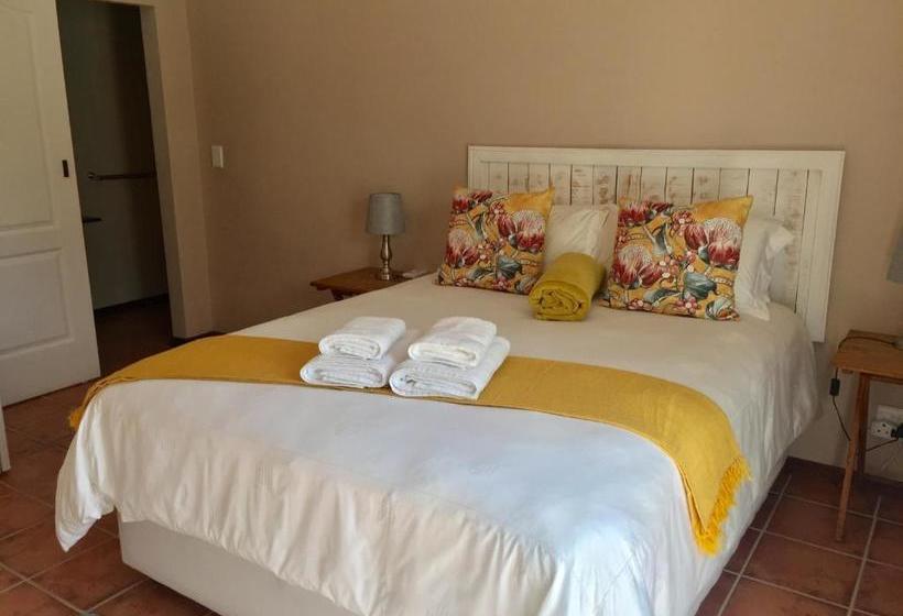 بنسيون The Vine