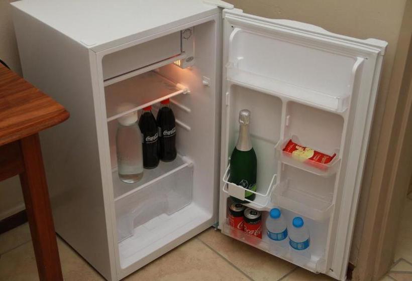 بنسيون The Vine