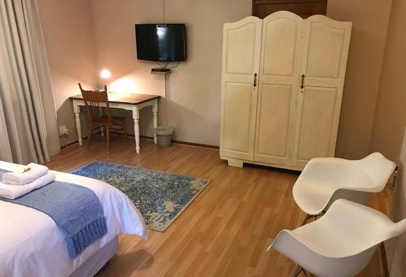 بنسيون The Vine