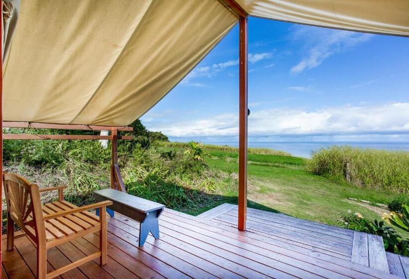 بنسيون Waipi O Lodge