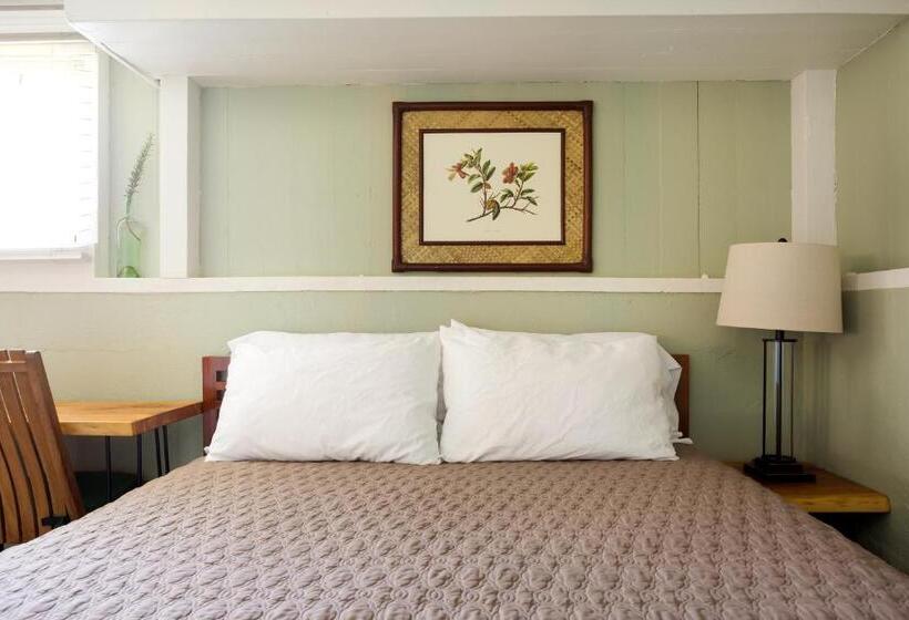 بنسيون Waipi O Lodge