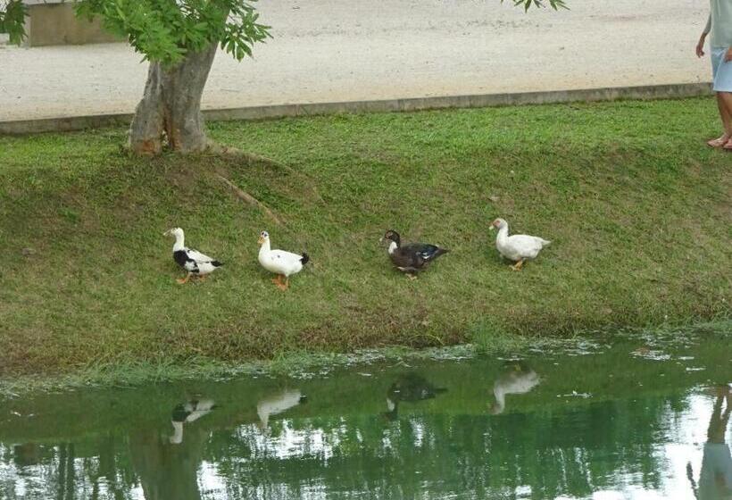 بنسيون Water Park Residencies