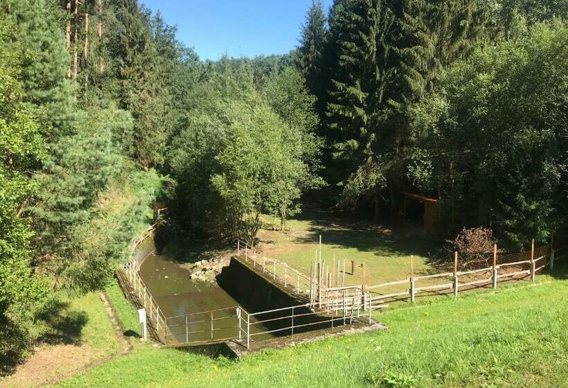 膳宿费 Zevlův Mlýn