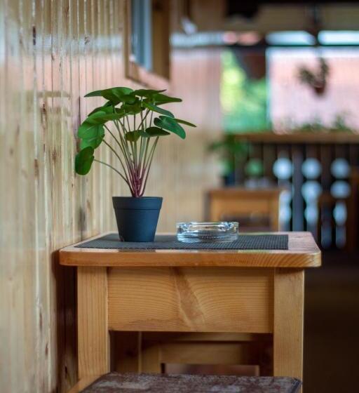 Pensiunea Casa Ioana