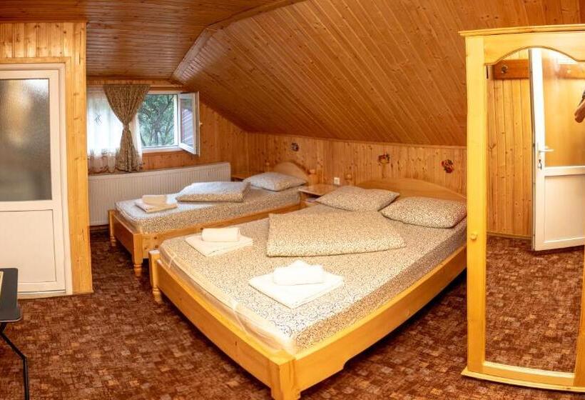 Pensiunea Casa Ioana