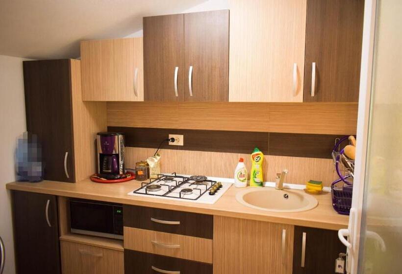 Pensiunea Casa Ioana