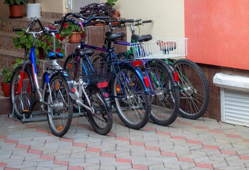 Pensiunea Casa Ioana