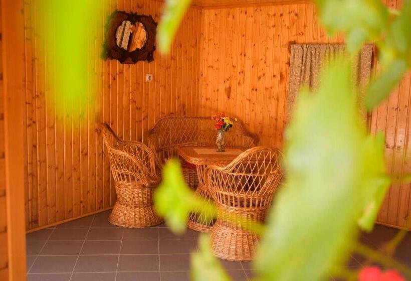 Pensiunea Casa Ioana