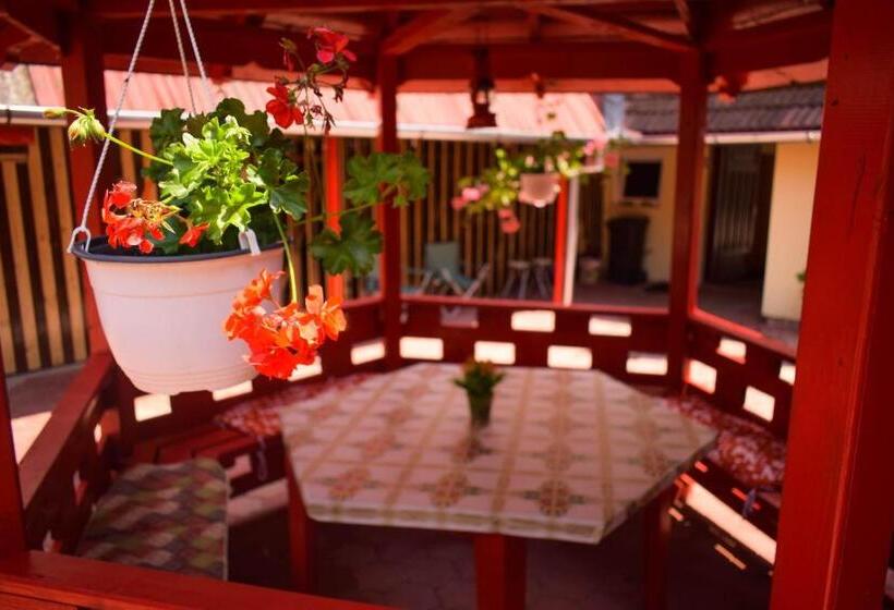 Pensiunea Casa Ioana