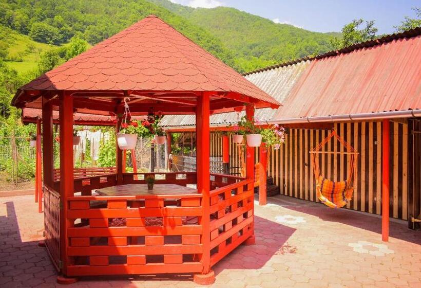 Pensiunea Casa Ioana