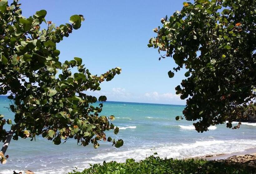 אתר נופש Koko And Suzy's Ocean Dream