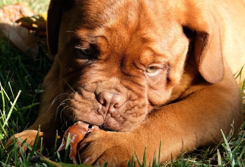 Village Castigno Wine Hotel & Resort