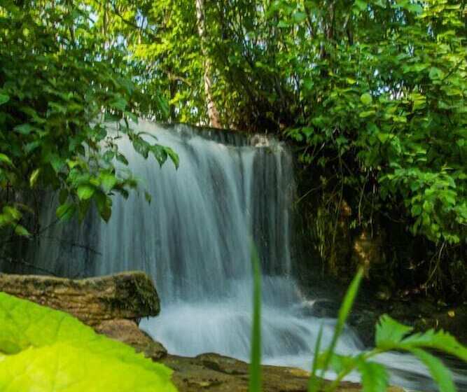 旅馆 Auberge Le Four à Pain