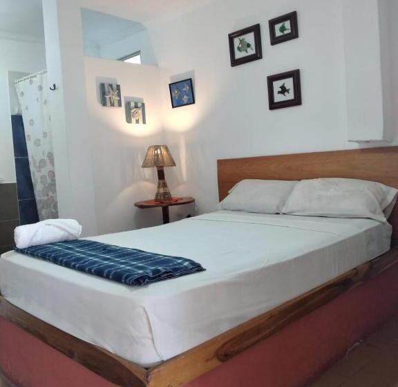 Hostel Hospedaje Algarrobo Machalilla