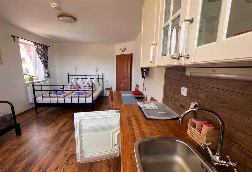 호스텔 Penzion Farma žleby