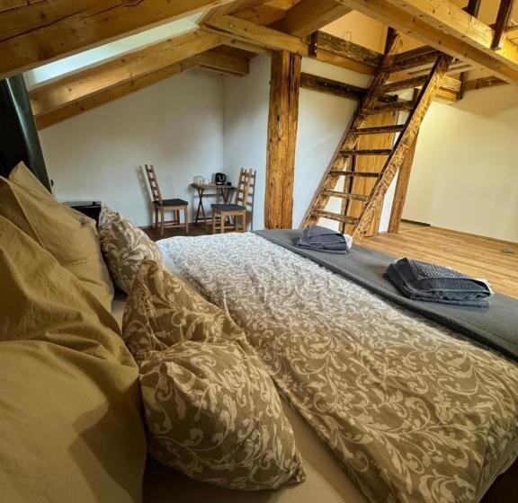 호스텔 Penzion Farma žleby