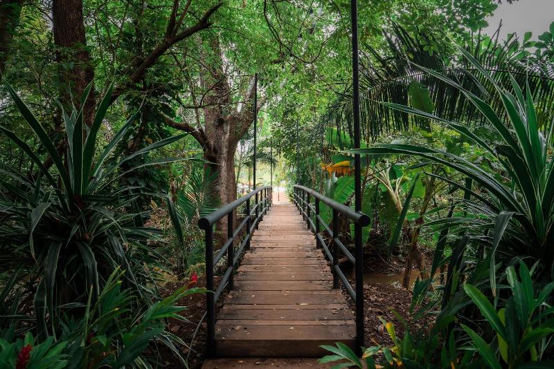 Общежитие Selina River Venao