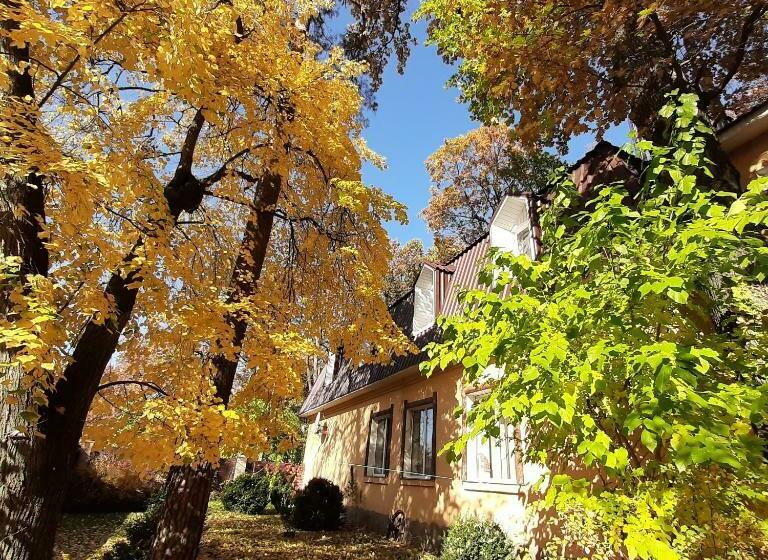 Общежитие Veniki Club