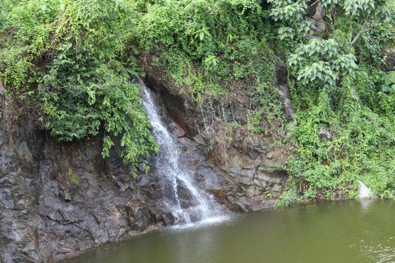 אתר נופש Athirapally Green Trees
