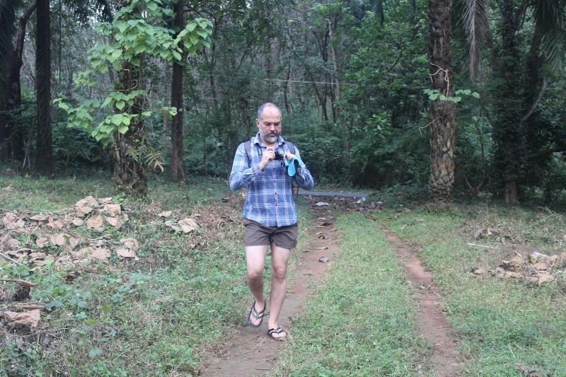 אתר נופש Athirapally Green Trees