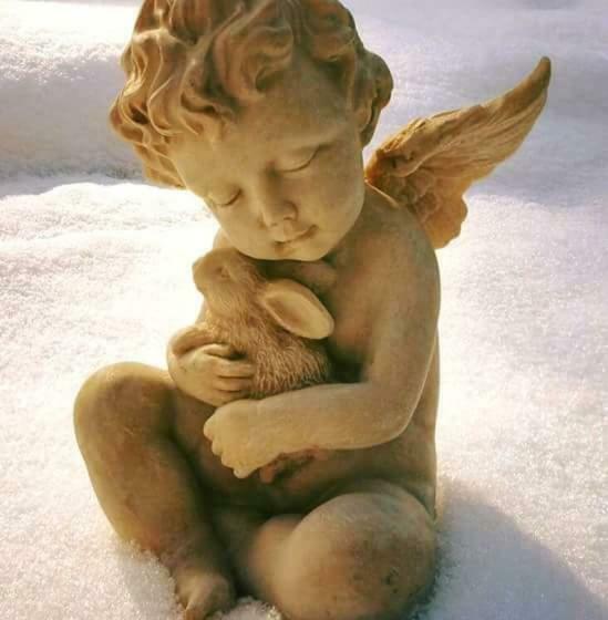 B&b La Taverna Degli Angeli