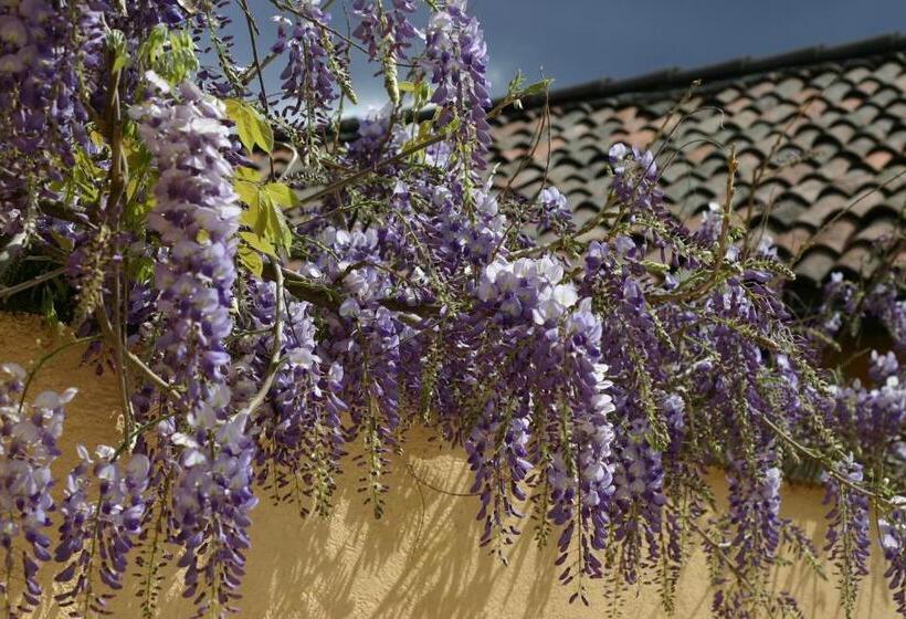 צימר Chez Marianne Chambres D Hôtes