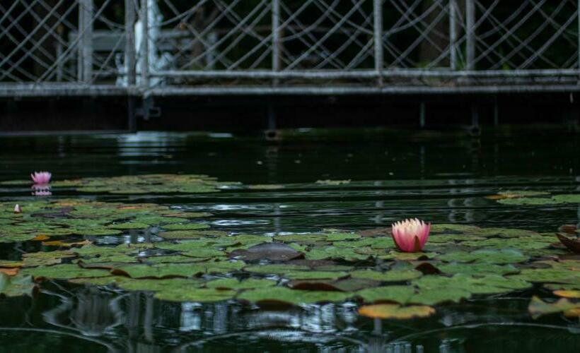 민박 Pollushof Panzió és étterem