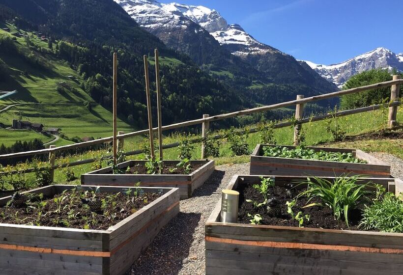 ベッドアンドブレックファースト Riad Des Neiges