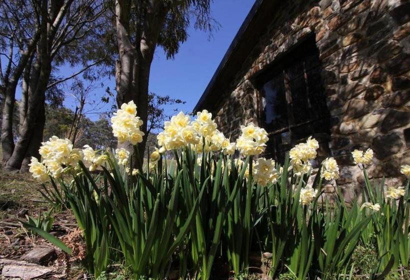 צימר The Great House Bnb