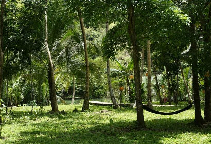 住宿加早餐  Water To Forest Ecolodge