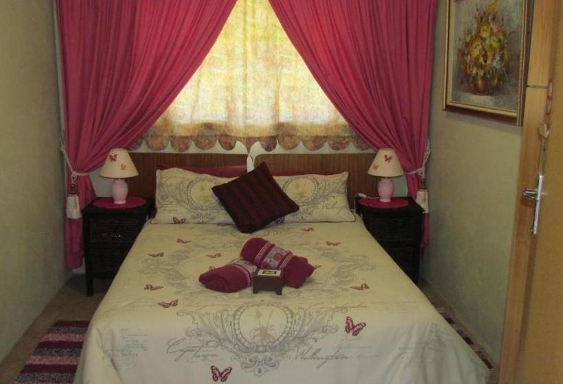 Carey 43 Bed & Breakfast