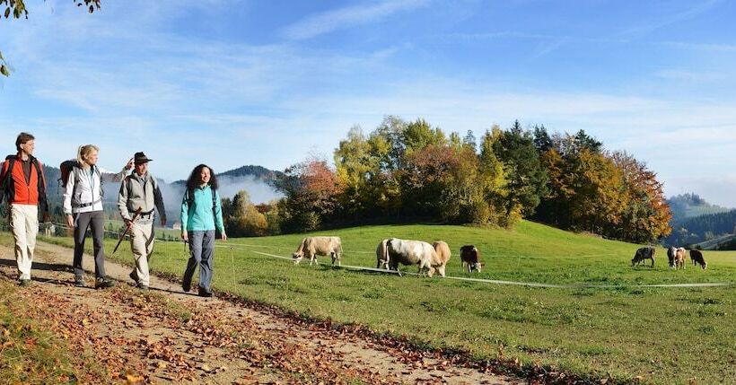 Gästehaus Pension Lang