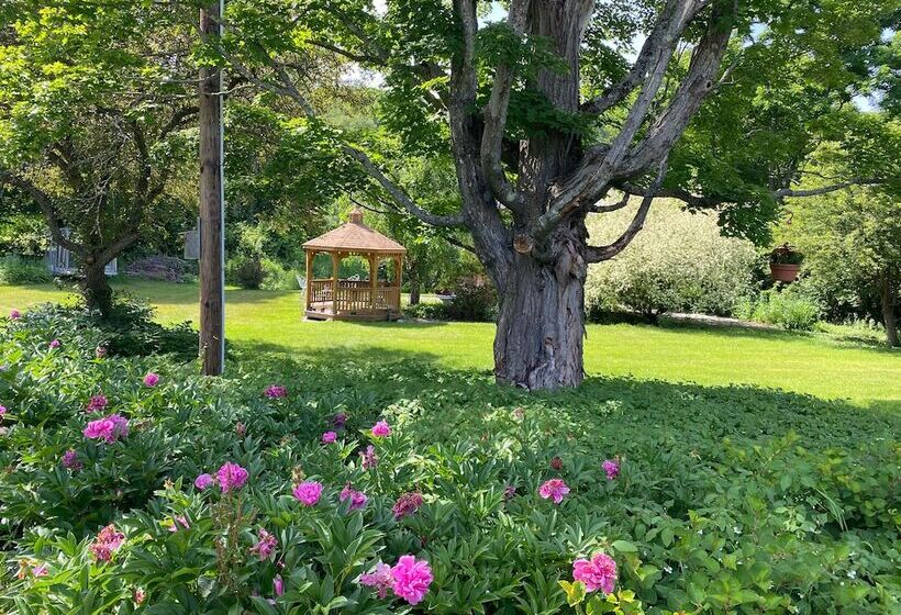 Harbour House Inn B&b