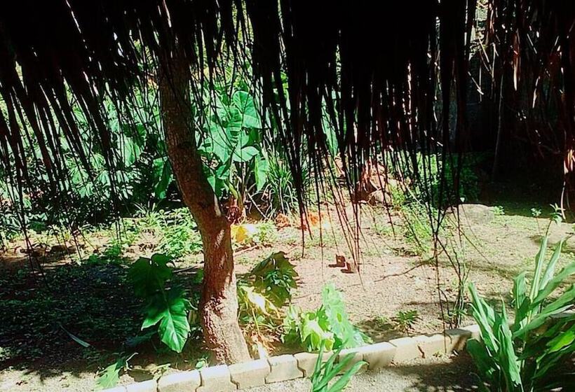 Hostal Tecali   Hostel