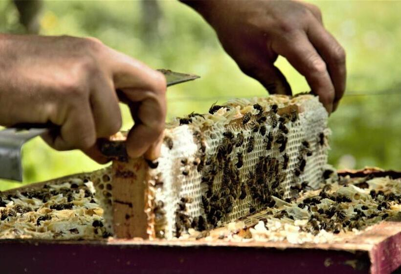 فندق Agritur Ca' De Mel