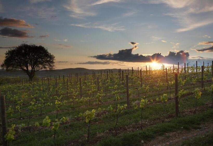 בית מלון כפרי Agriturismo Poggio Al Sasso