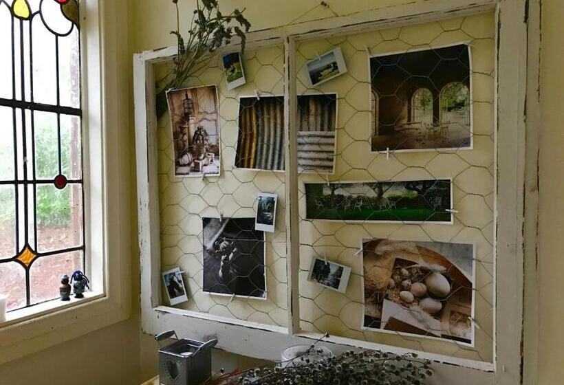 בית מלון כפרי Birdsong Bellingen Farm