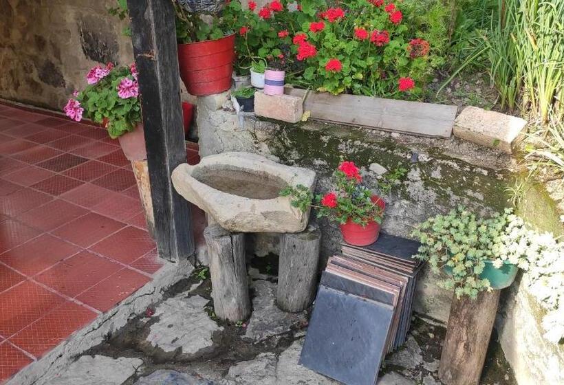 בית מלון כפרי Brisas Del Nevado