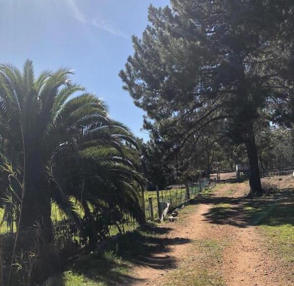 فندق Das Steinhaus