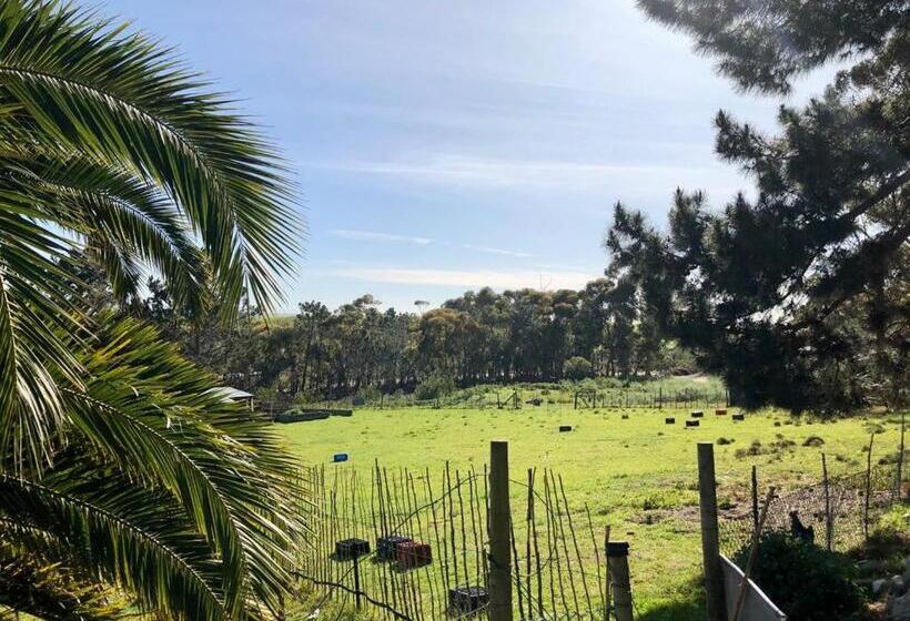 فندق Das Steinhaus