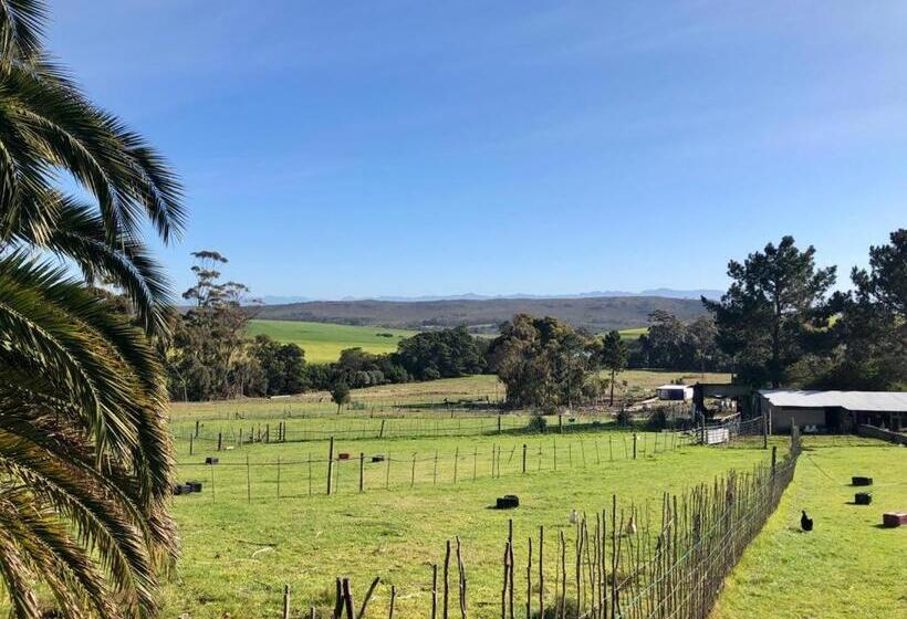 فندق Das Steinhaus