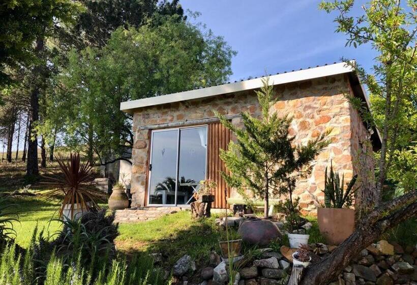 فندق Das Steinhaus