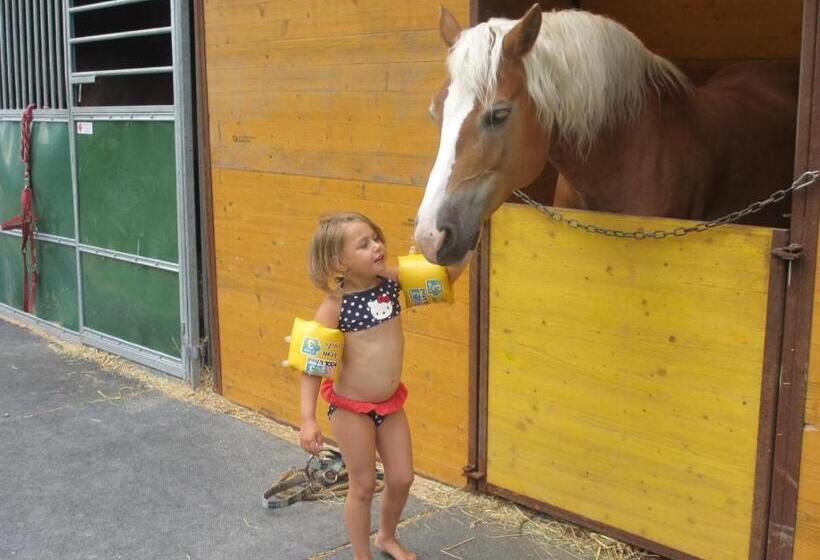 בית מלון כפרי Eichhof Brienzwiler Berner Oberland